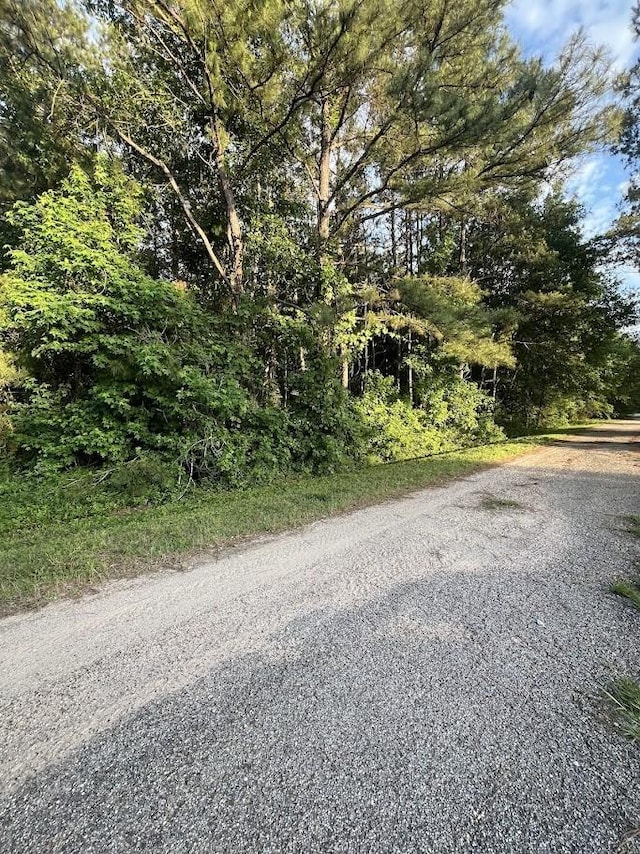 19241 Kings Row, New Caney, TX 77357