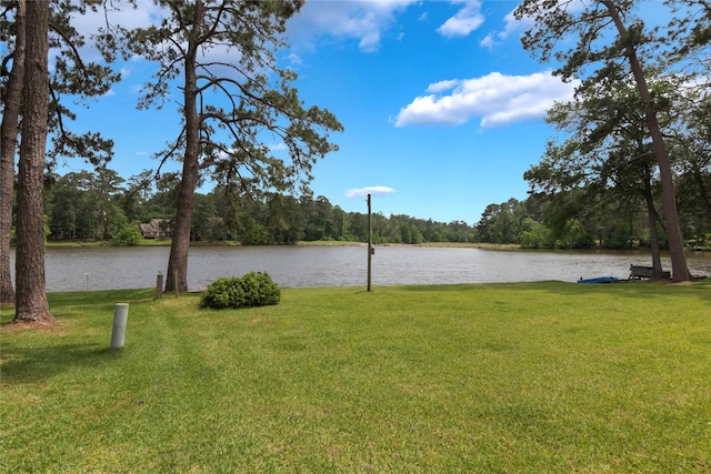 2207 Azalea Cir, Huntsville, TX 77340 - water view