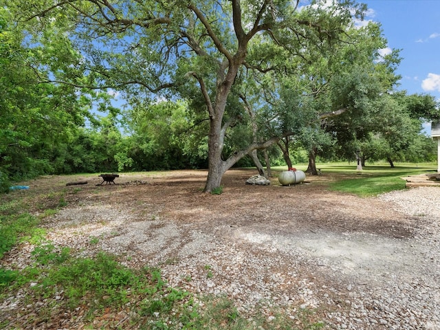 8253 Carolyn St, Santa Fe, TX 77517 - view of yard