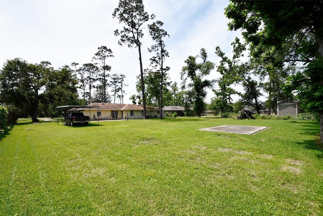 5216 Sue Marie Ln, Houston, TX 77091 - view of green lawn