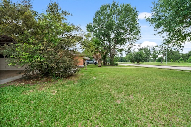 4266 T C Jester Blvd, Houston, TX 77018 - view of green lawn