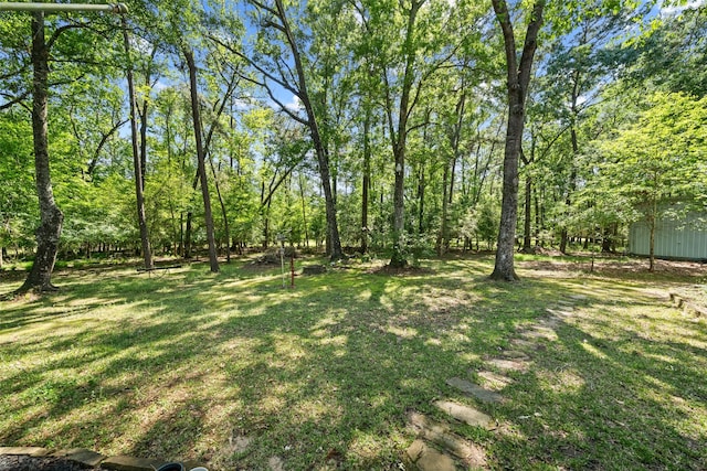 view of green lawn