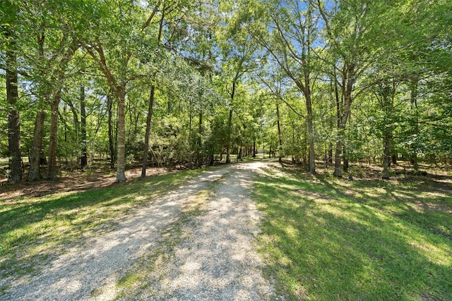 view of dirt / gravel road with a wooded view