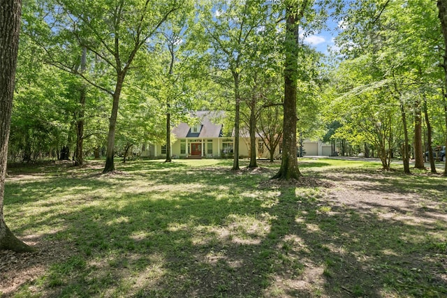 view of green lawn