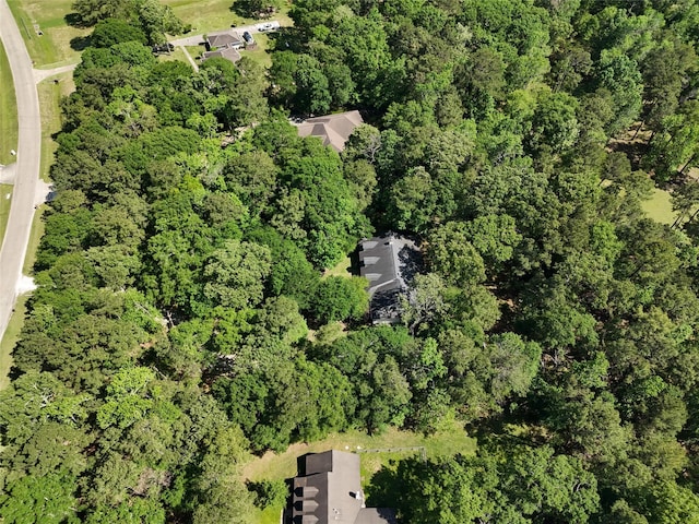 view of property location featuring a forest