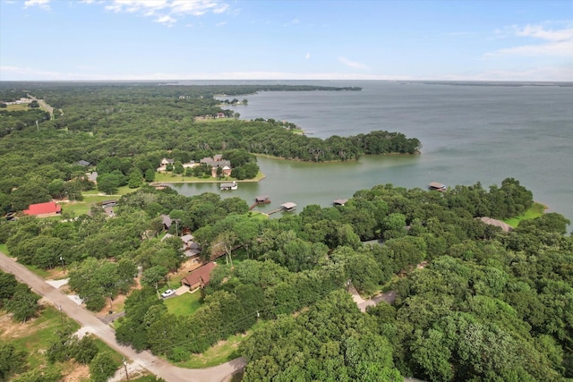 123 June Blvd, Streetman, TX 75859 - drone / aerial view of a nearby body of water and a forest