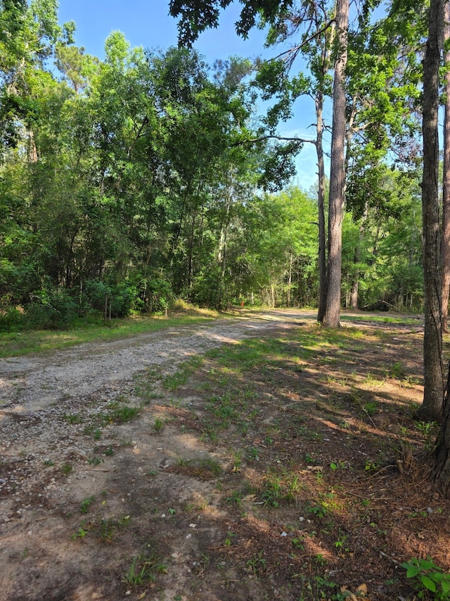 14068 Tower Glen Dr, Conroe, TX 77306 - view of street featuring a view of trees