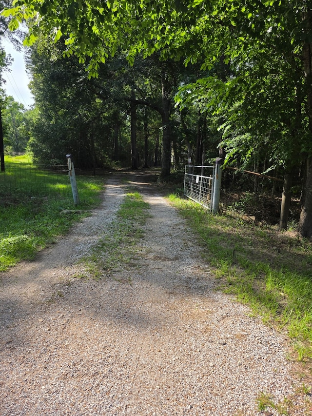 14068 Tower Glen Dr, Conroe, TX 77306 - view of road featuring a gate