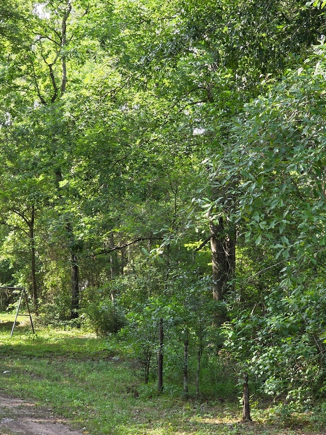 14068 Tower Glen Dr, Conroe, TX 77306 - view of tree filled area