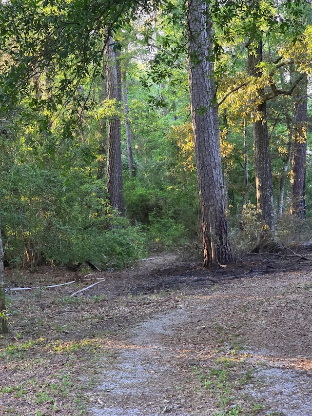 14068 Tower Glen Dr, Conroe, TX 77306 - view of woods