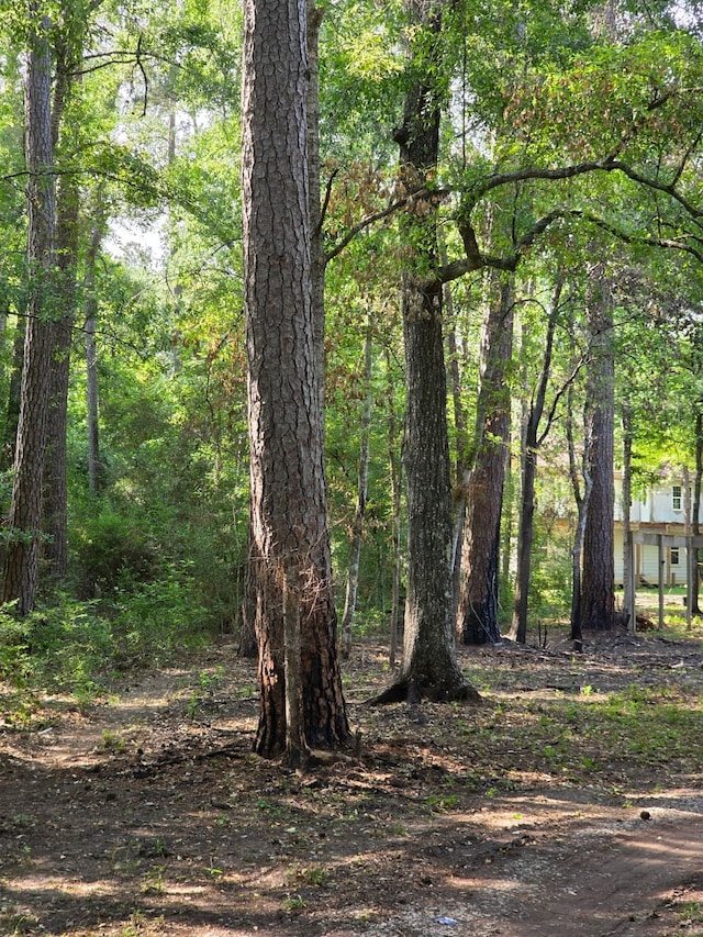 14068 Tower Glen Dr, Conroe, TX 77306 - view of woods