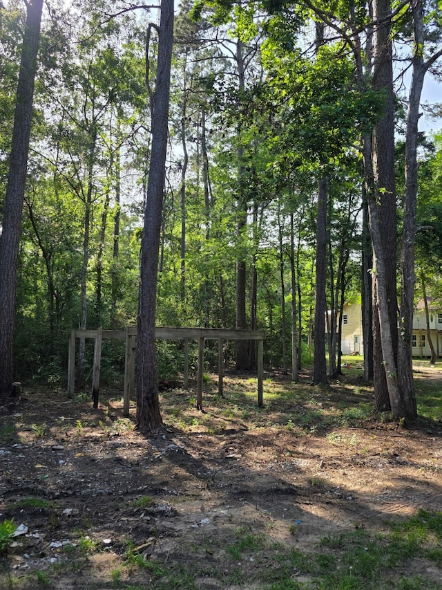 14068 Tower Glen Dr, Conroe, TX 77306 - view of local wilderness