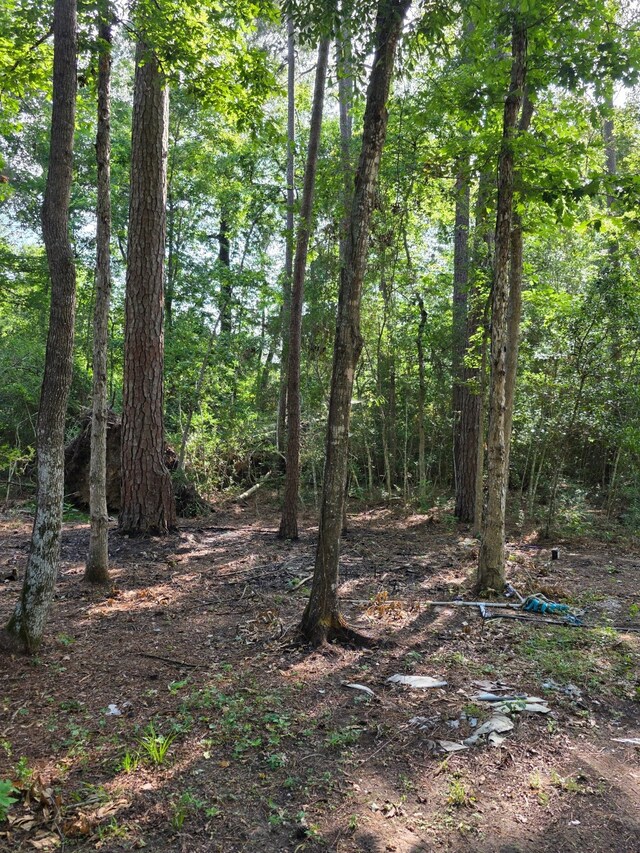 14068 Tower Glen Dr, Conroe, TX 77306 - view of tree filled area