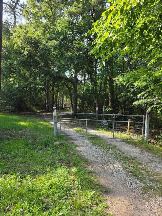 14068 Tower Glen Dr, Conroe, TX 77306 - view of street