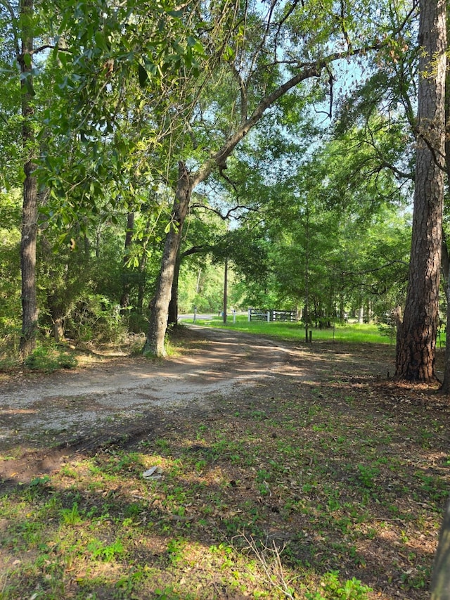 14068 Tower Glen Dr, Conroe, TX 77306 - view of yard
