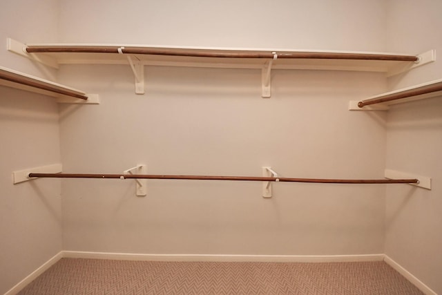14731 Ravenscroft Way, Houston, TX 77083 - walk in closet with light colored carpet