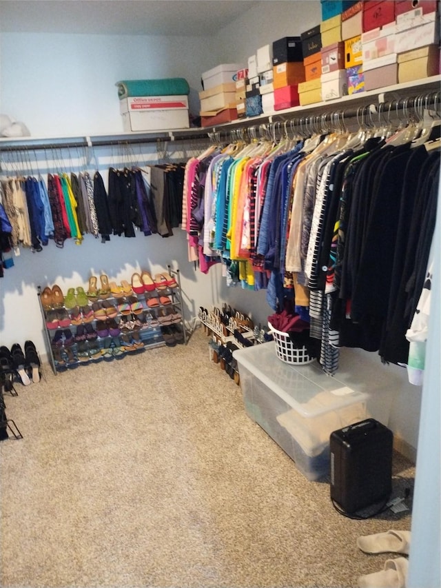 19027 Drayton Village Trce, Richmond, TX 77407 - walk in closet featuring carpet flooring