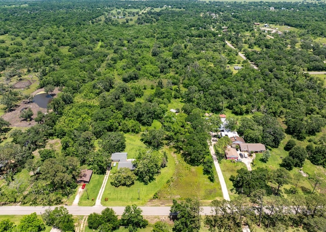 18059 County Road 463, Brazoria, TX 77422