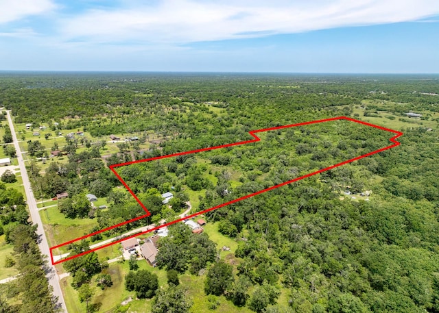 18059 County Road 463, Brazoria, TX 77422