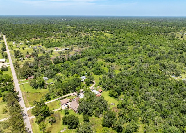 18059 County Road 463, Brazoria, TX 77422