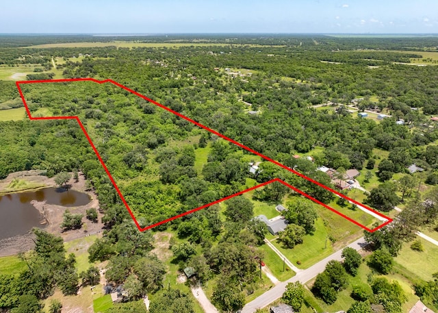 18059 County Road 463, Brazoria, TX 77422