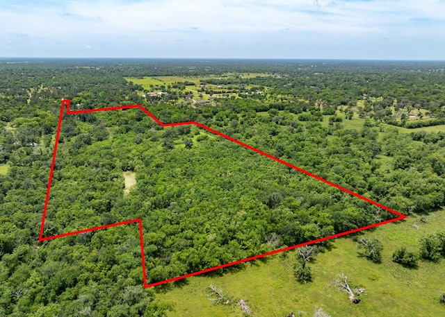 18059 County Road 463, Brazoria, TX 77422