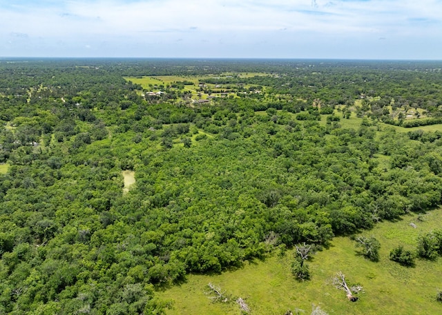 18059 County Road 463, Brazoria, TX 77422