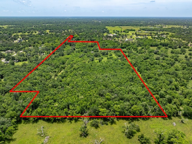 18059 County Road 463, Brazoria, TX 77422