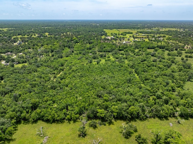 18059 County Road 463, Brazoria, TX 77422