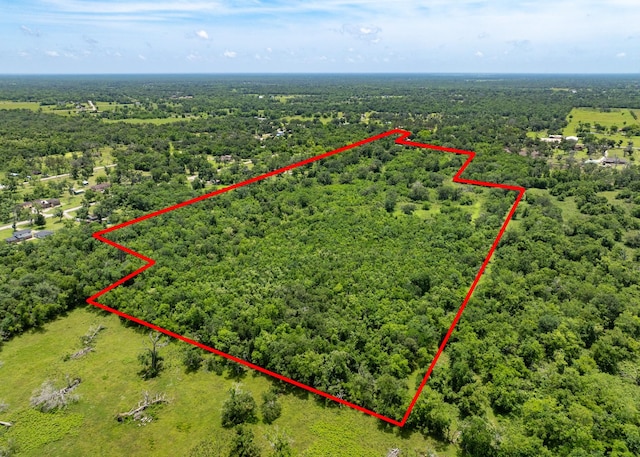 18059 County Road 463, Brazoria, TX 77422