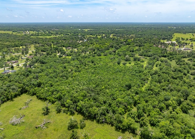 18059 County Road 463, Brazoria, TX 77422