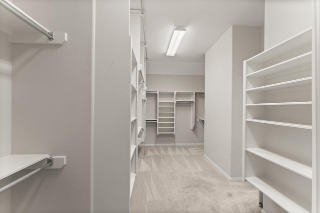 1830 Britton Key Ln, Spring, TX 77386 - walk in closet featuring carpet flooring