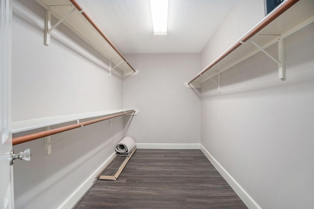 2385 Golden Shores Ln, League City, TX 77573 - spacious closet with dark wood finished floors