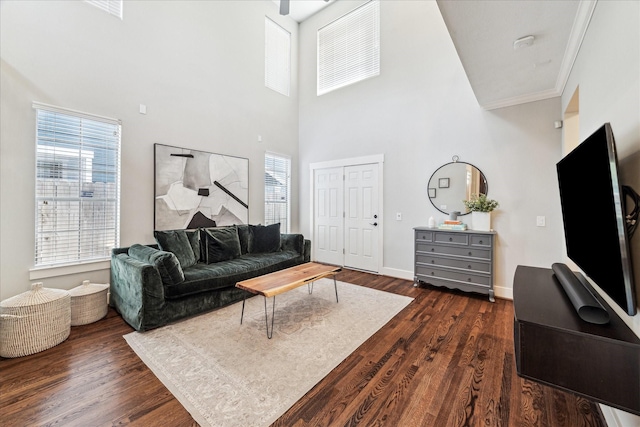 1117 W 22nd St Unit C, Houston, TX 77008 - living area featuring plenty of natural light, dark wood-style flooring, a towering ceiling, baseboards, and ornamental molding