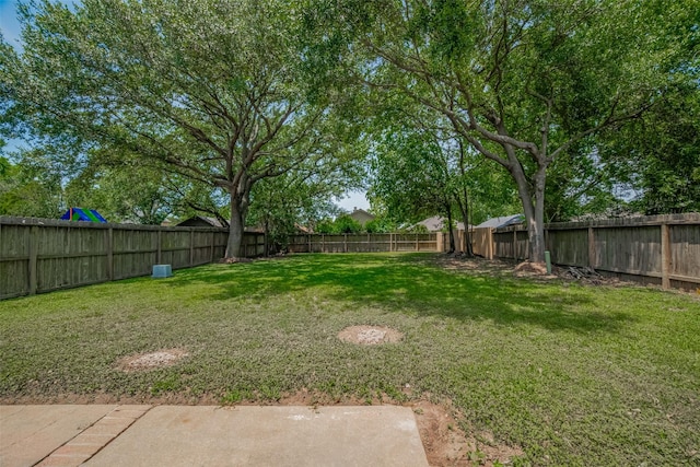 8547 Sparkling Springs Dr, Houston, TX 77095 - view of yard