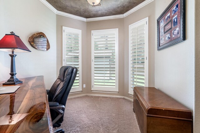 carpeted office featuring ornamental molding and baseboards