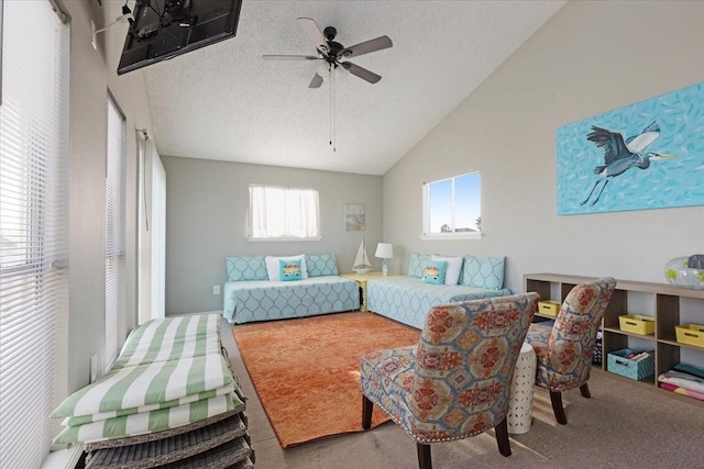13617 Pirates Beach Blvd, Galveston, TX 77554 - photo 22