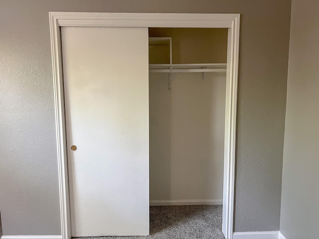 11106 Sagevalley Dr N, Houston, TX 77089 - view of closet