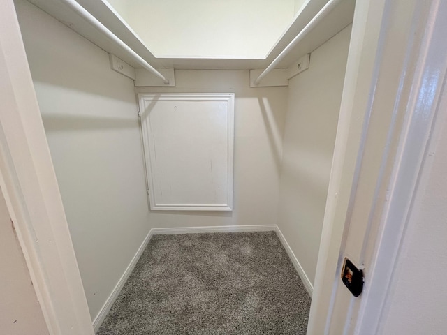 11106 Sagevalley Dr N, Houston, TX 77089 - spacious closet with carpet flooring