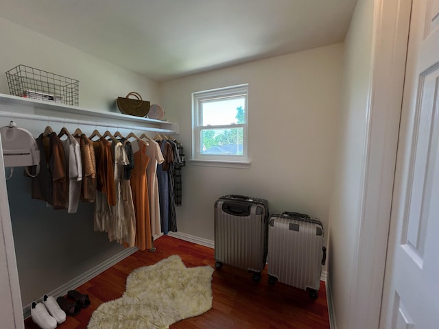 11106 Sagevalley Dr N, Houston, TX 77089 - walk in closet with radiator and wood finished floors