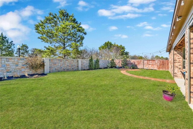 30622 Indigo Falls Dr, Brookshire, TX 77423 - view of yard