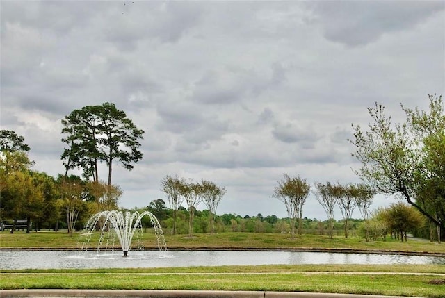 15238 Ledgewood Park Dr, Cypress, TX 77429 - view of community featuring a water view