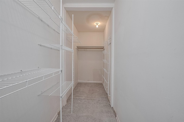 7827 Braesdale Ln, Houston, TX 77071 - walk in closet with carpet