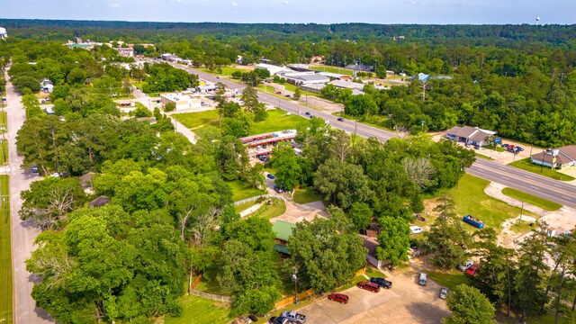 1000 W Polk St, Livingston, TX 77351 - view of property location featuring a forest