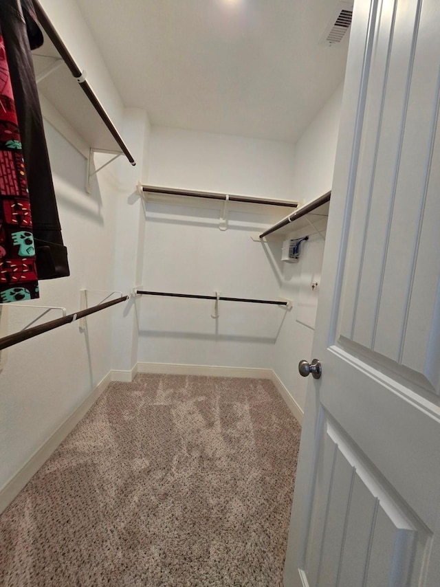 3207 Karleigh Way, Richmond, TX 77406 - spacious closet with carpet flooring