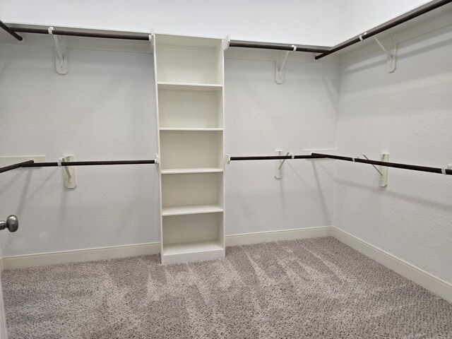 3207 Karleigh Way, Richmond, TX 77406 - walk in closet featuring carpet flooring