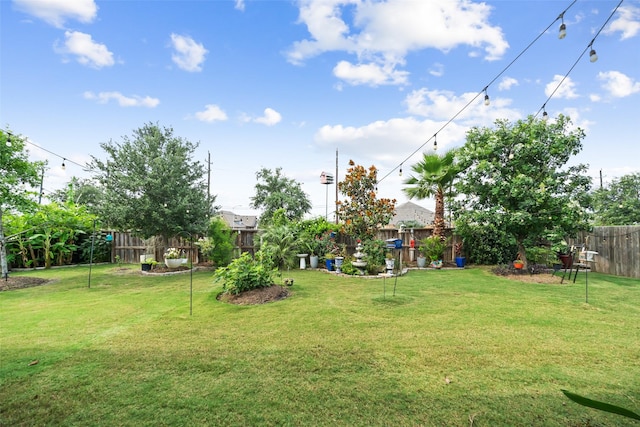 3607 Brook St, Rosharon, TX 77583 - view of yard