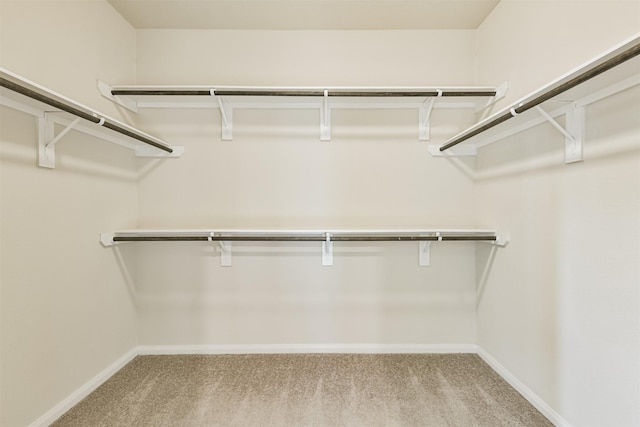 12638 Silver Winter Trl, Houston, TX 77014 - walk in closet featuring carpet