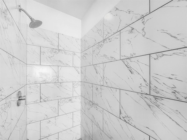 2424 Katy Hockley Cut Off Rd, Katy, TX 77493 - full bathroom featuring a tile shower
