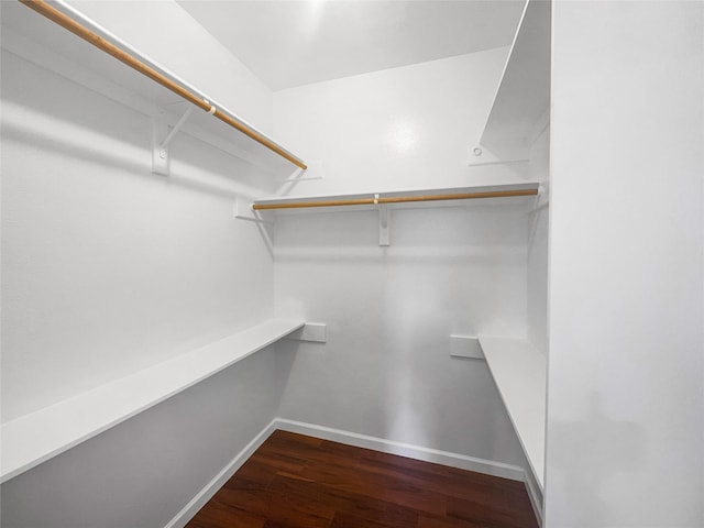2424 Katy Hockley Cut Off Rd, Katy, TX 77493 - spacious closet featuring wood finished floors